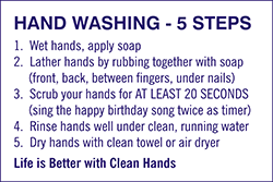 79025<br>HAND WASHING - 5 STEPS<br>8" x 12"